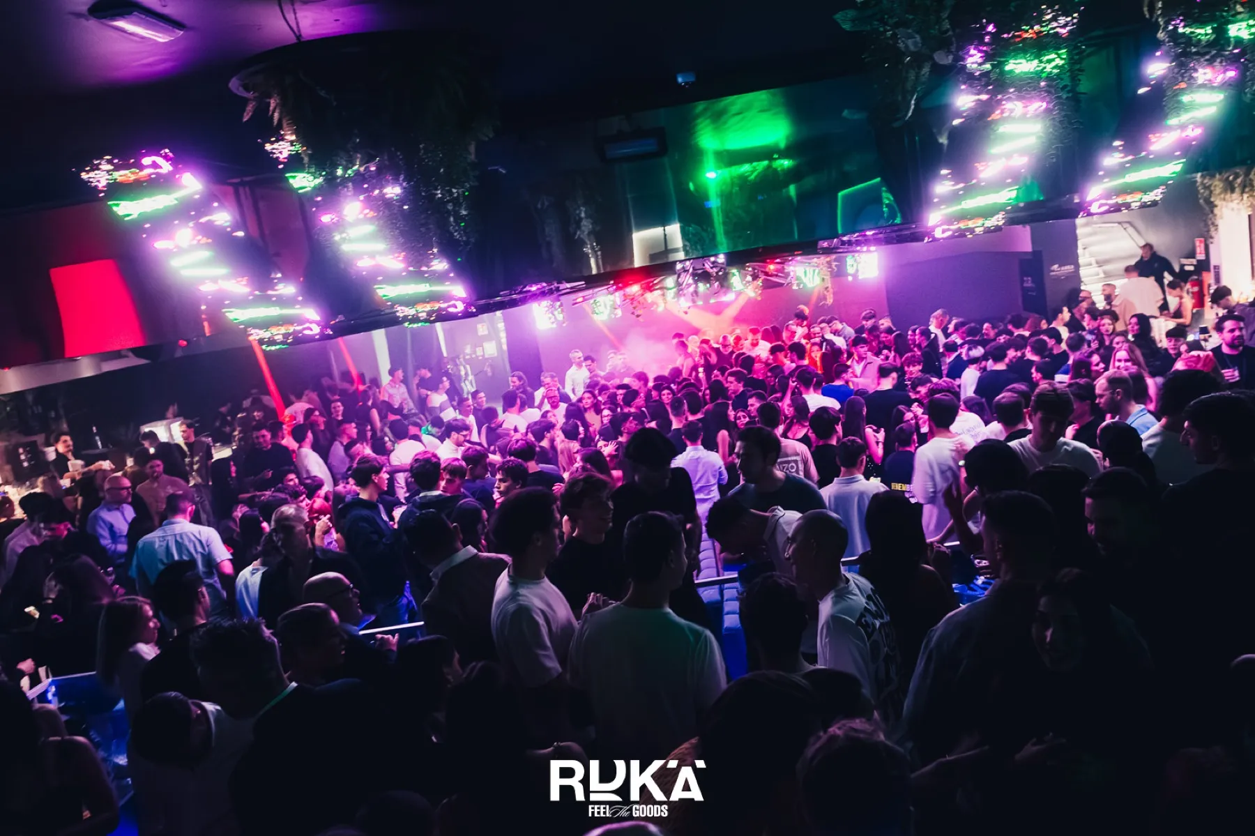 Una serata al Radika, Treviso
