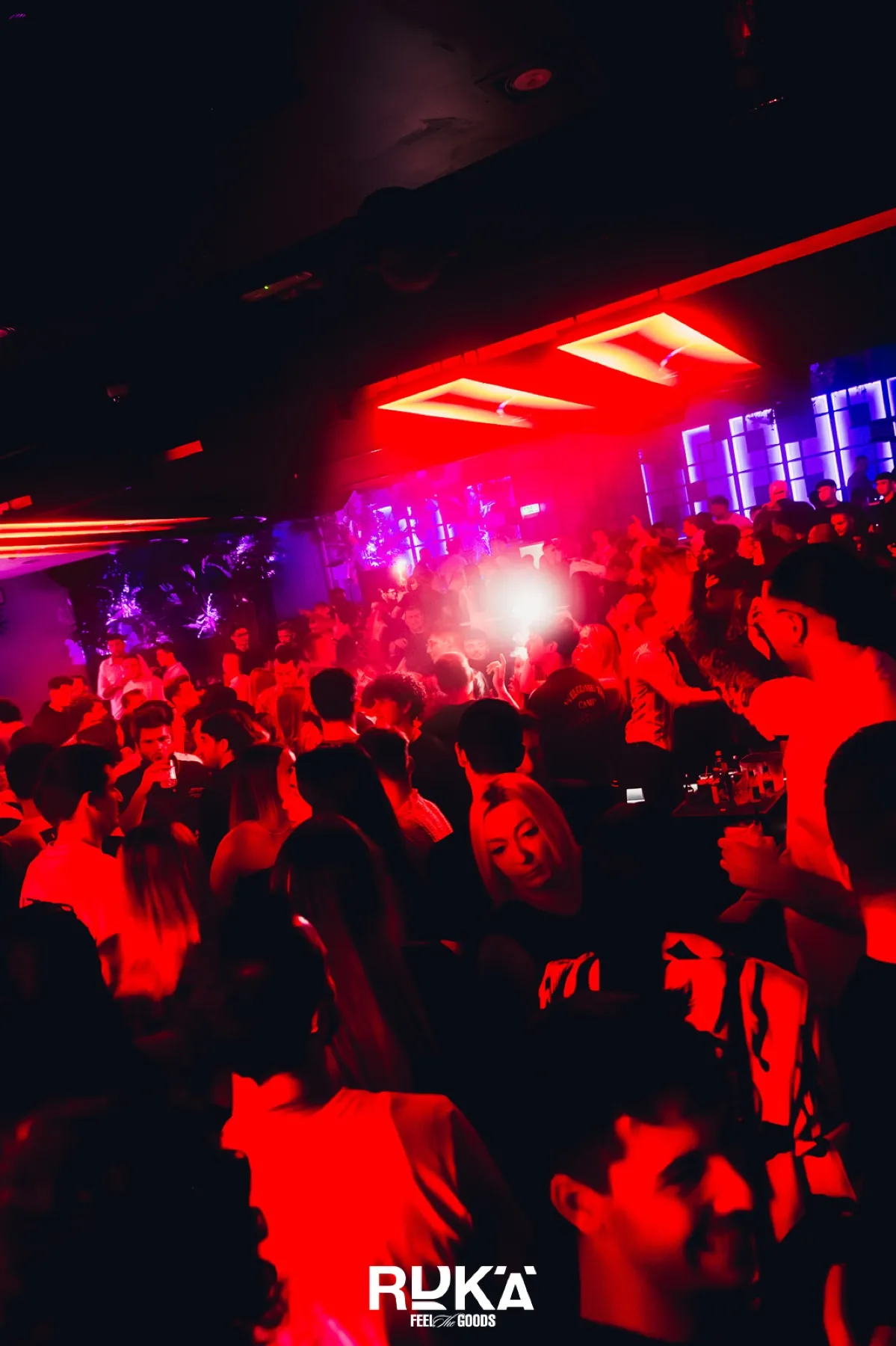 Una serata al Radika, Treviso